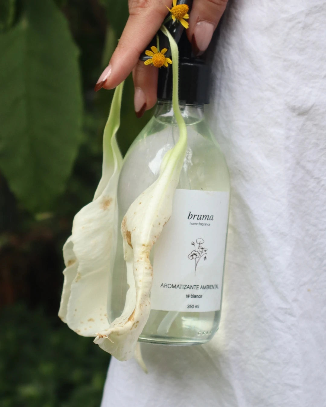 Té Blanco - Home Fragance